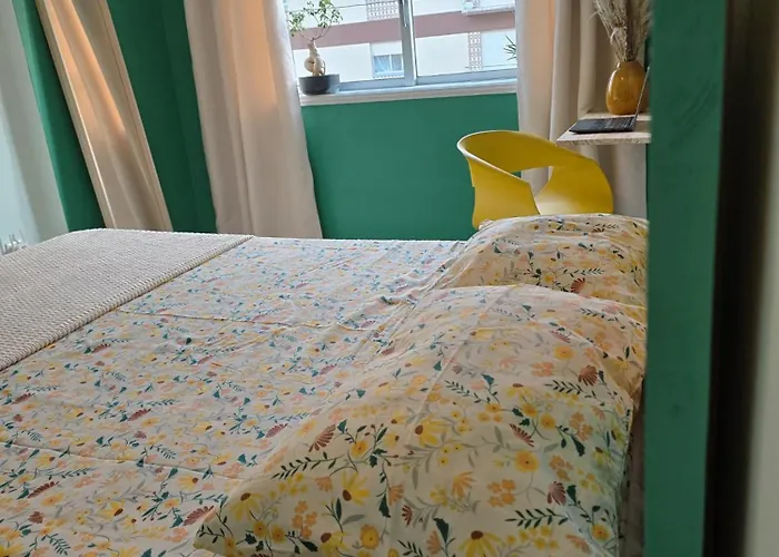 The House Of Cats בית אירוח