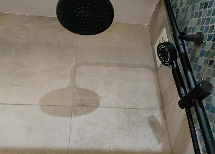 The House Of Cats * Oliveira do Douro (Vila Nova de Gaia)