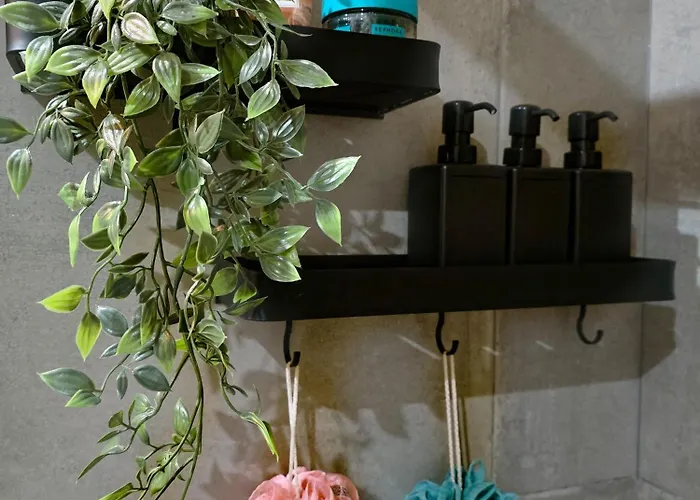 בית אירוח The House Of Cats Oliveira do Douro (Vila Nova de Gaia)