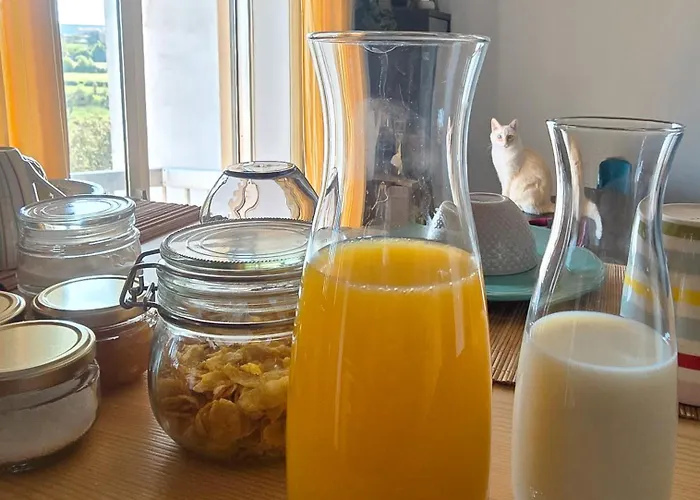 בית אירוח The House Of Cats